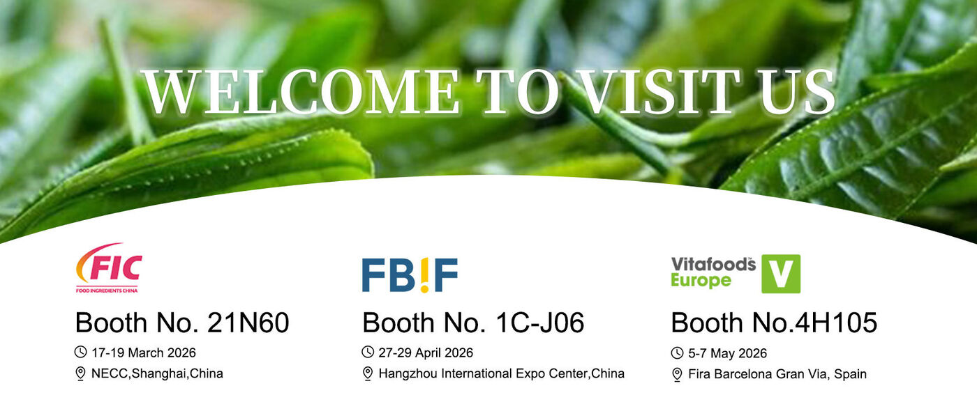 중국 최상 프로바이오틱스 파우더 판매에