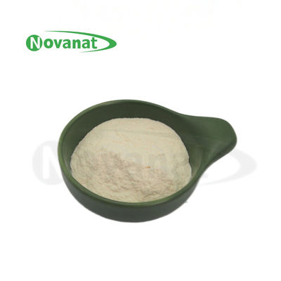 Lacticaseibacillus rhamnosus LR22/Vegan/ Free (Allergen/Gluten/Dairy) /Digestive Health