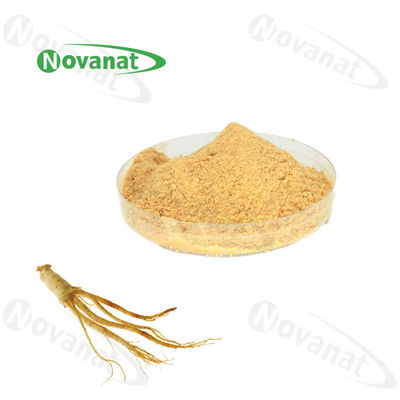 Ginseng Extract 5%-80% Ginsenosides UV/HLPC /Water Soluble/Pure Root/Clean Label