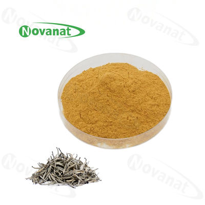 Instant White Tea Extract Powder 40% Polyphenols / Food Beverage