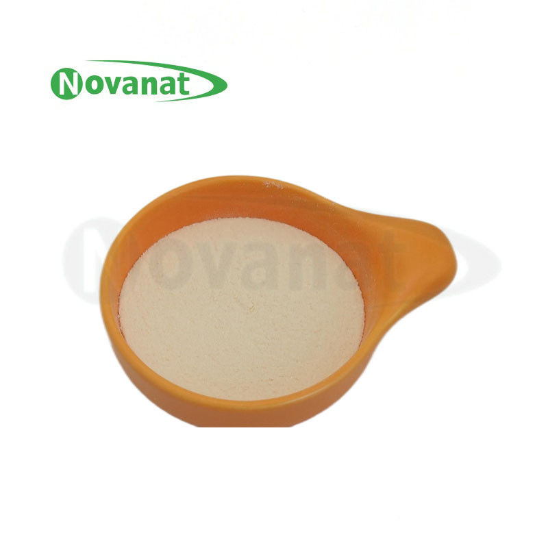 Dairy Lacticaseibacillus rhamnosus GG Powder Gluten Vegan Allergy Care