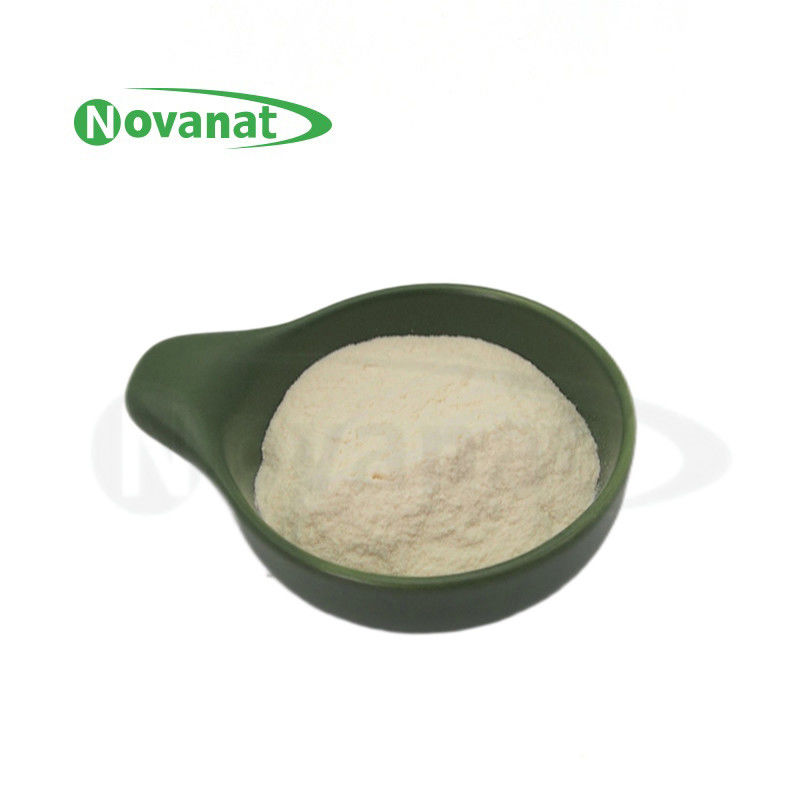 Levilactobacillus brevis LBr05 Probiotics Powder Vegan / Free (Allergen/Gluten/Dairy)