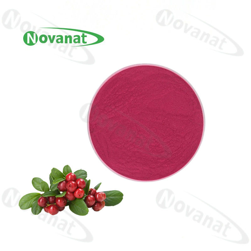 Cranberry Extract Powder Herbal Extract Powder 1%-25% Anthocyanins