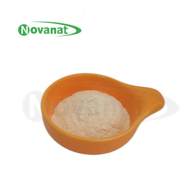 Pediococcus Acidilactici PA10 5000억 CFU/g 프로바이오틱스 분말 비건/알레르기 유발 물질 없음/글루텐 프리/유제품 프리